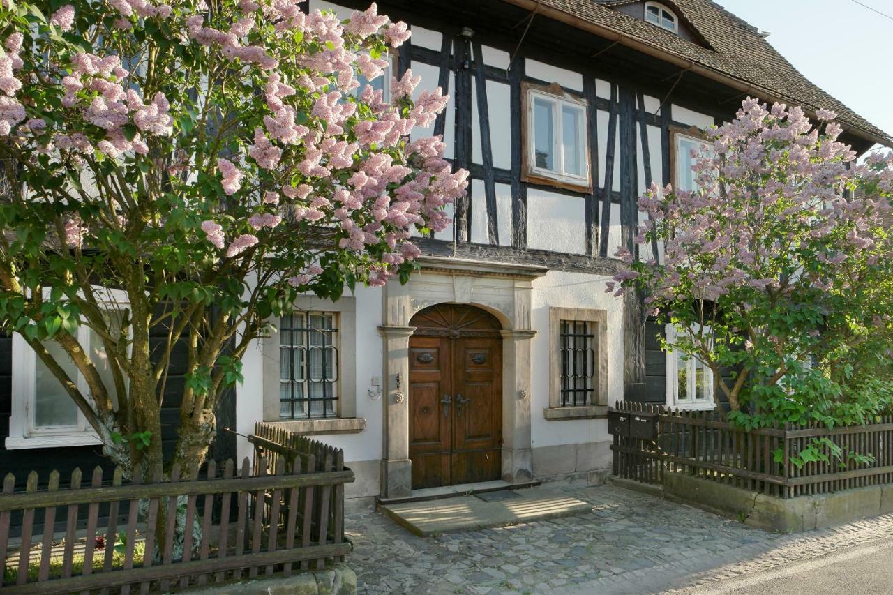 Goldberghaus Mauve Apartment Grossschoenau Exterior photo