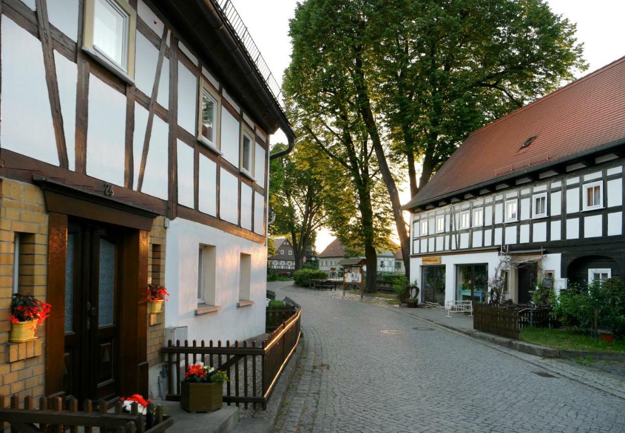 Goldberghaus Mauve Apartment Grossschoenau Exterior photo